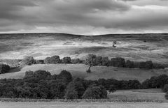 North York Moors, England 