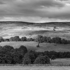 North York Moors III