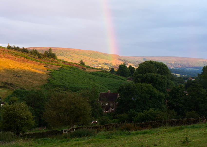 North York Moors V