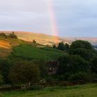 North York Moors V