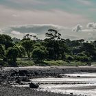 Northcoast from Edinburgh by Cramond