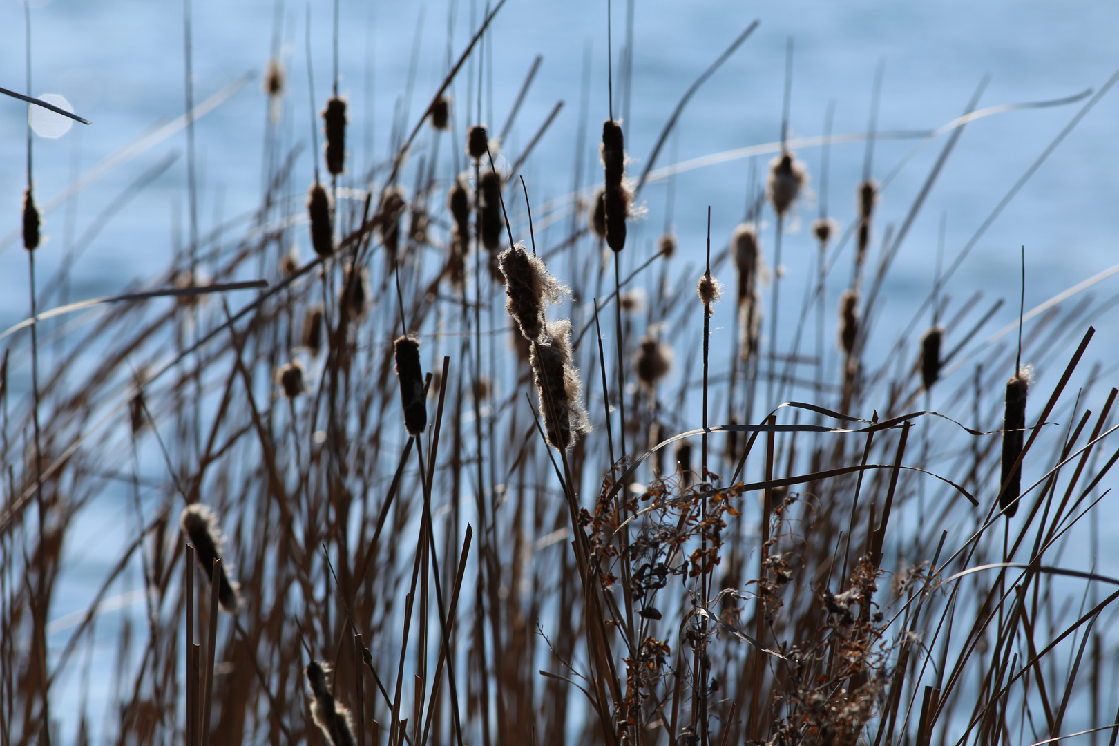 Northeimer Seenplatte