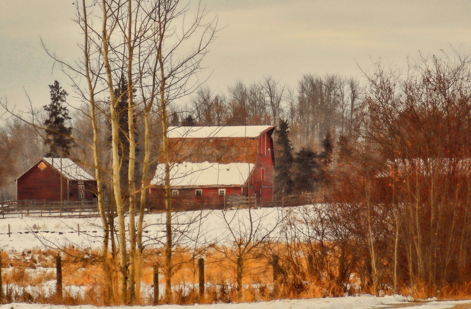 Northern Alberta Farm