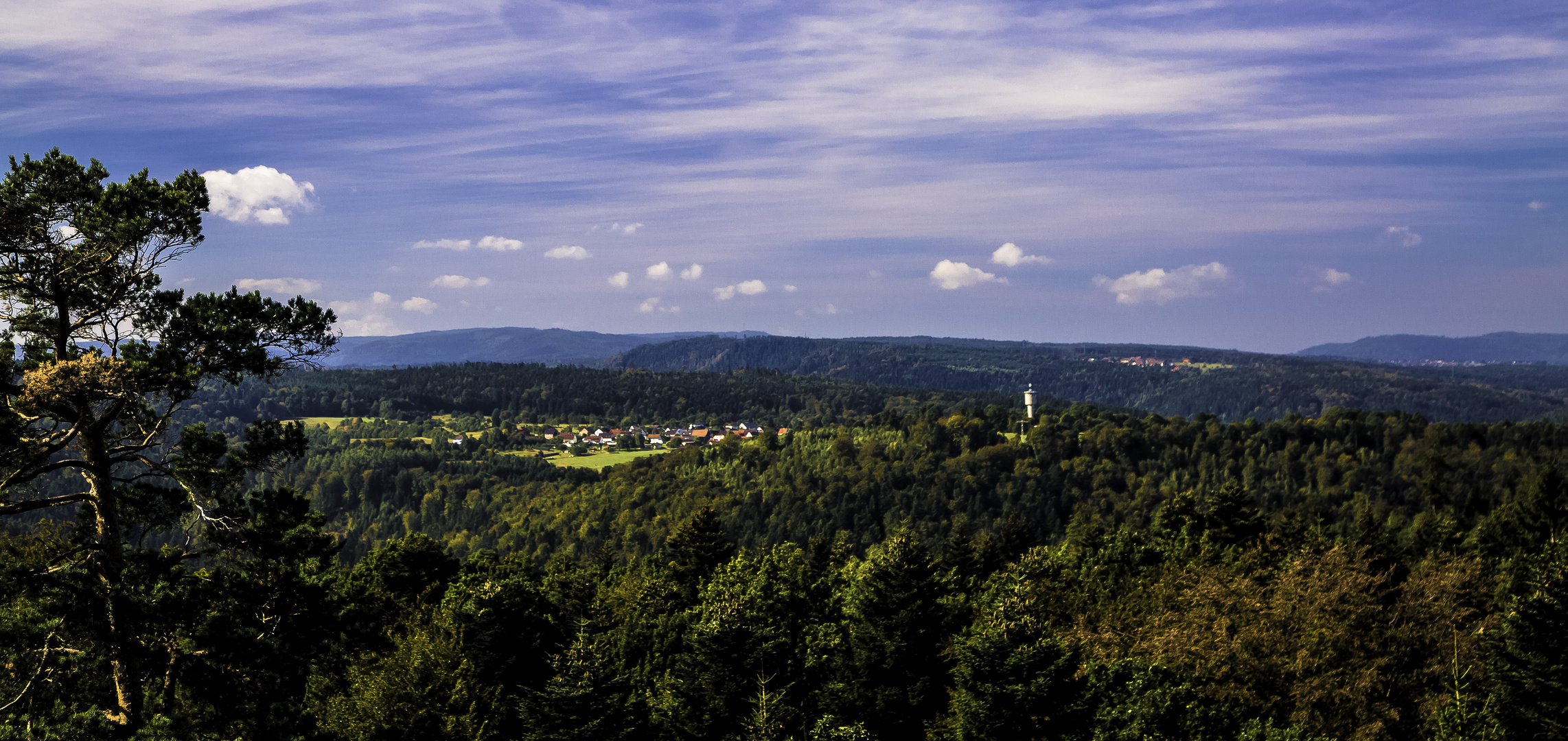 Northern  Black Forest 