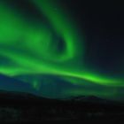 Northern Light