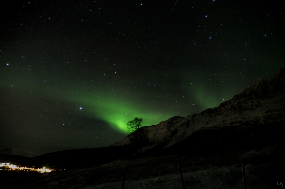 Northern Light # 2