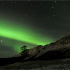 Northern Light # 3