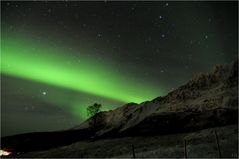 Northern Light # 3