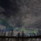 Northern Light