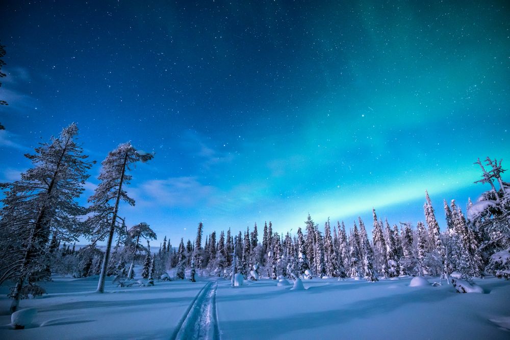 Northern Light in Finnlands Nationalpark bei Tankavaara Foto & Bild