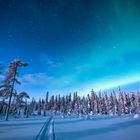 Northern Light in Finnlands Nationalpark bei Tankavaara