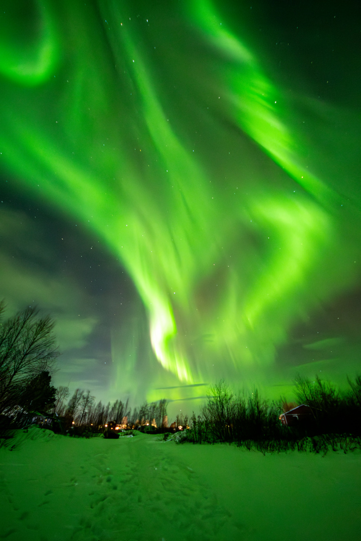 Northern Lights 2