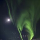 Northern Lights