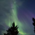 Northern Lights @ Iceland 01