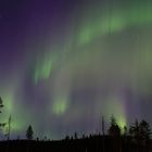 northern lights in Lapland / Sweden