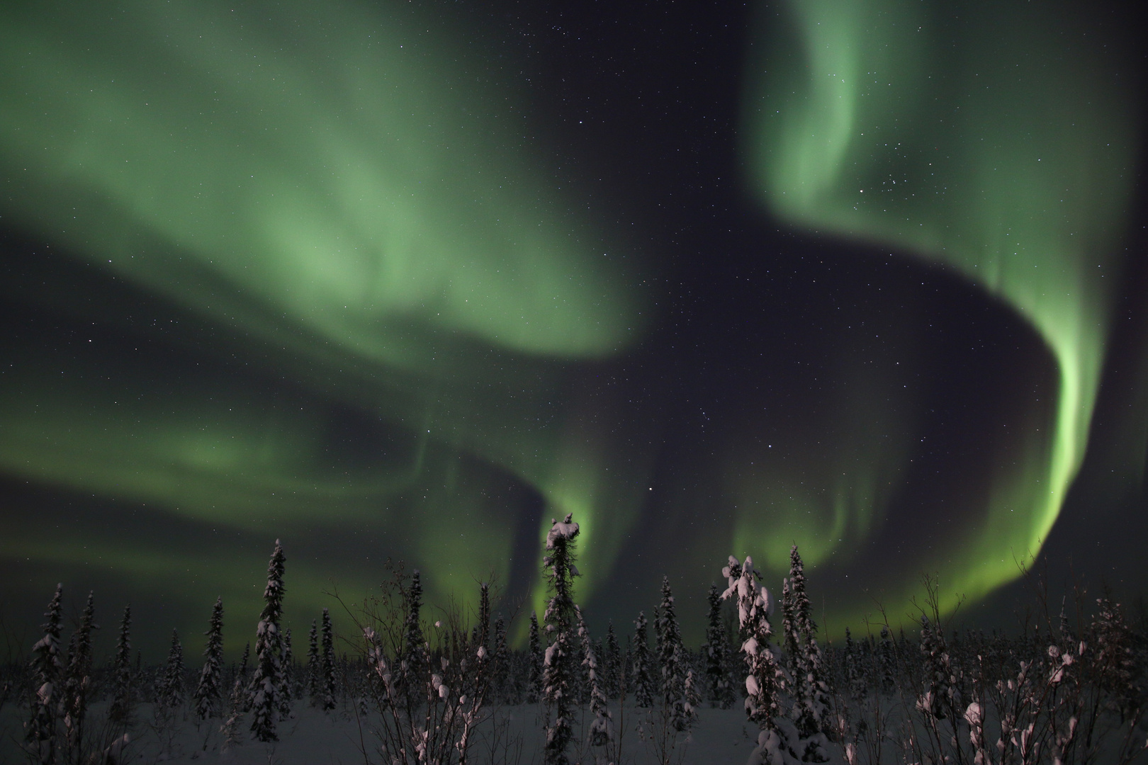 Northern Lights in North Pole, Alaska