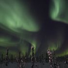 Northern Lights in North Pole, Alaska