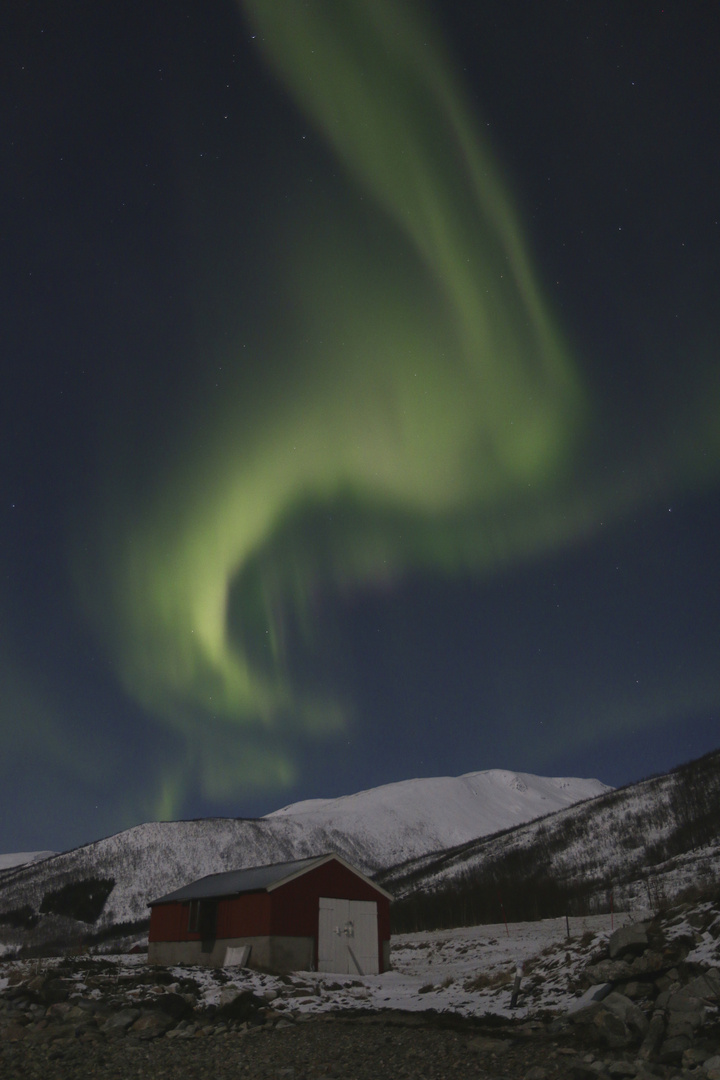 Northern Lights in Tromsö