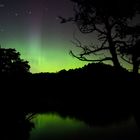 Northern lights over sea