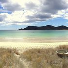 Northland Beaches (Waikato/Maitai Bay)