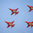 Northrop F-5 Tiger II - Patrouille Suisse