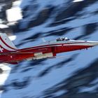 ~ Northrop F-5E Tiger II @ Axalp 2011 ~