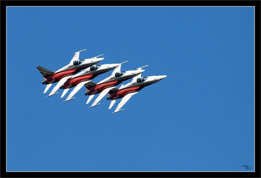 Northrop F-5E Tiger II in der Formation Shadow