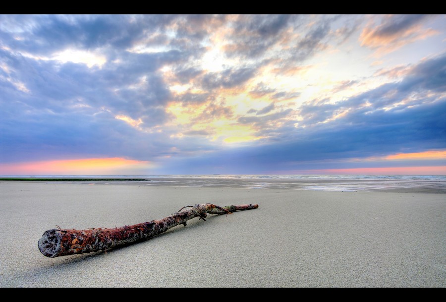 Northsea coast