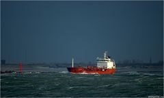 NORTHSEA LOGIC (2) / Tanker / Rotterdam