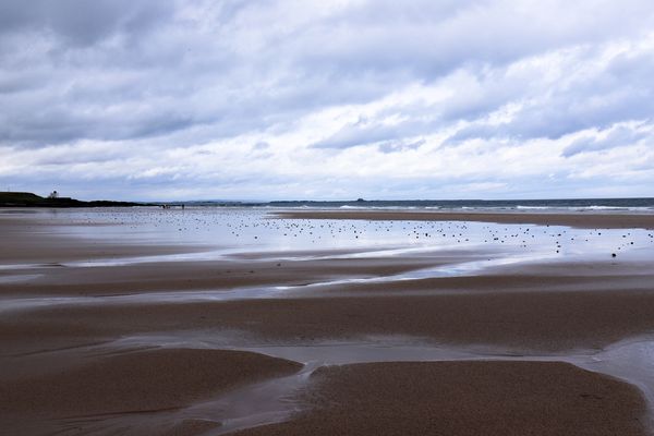 Northumberland: la spiaggia con la bassa marea