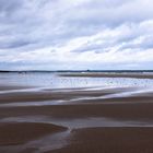 Northumberland: la spiaggia con la bassa marea