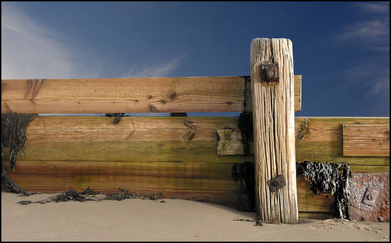 northumbrian beach scenes