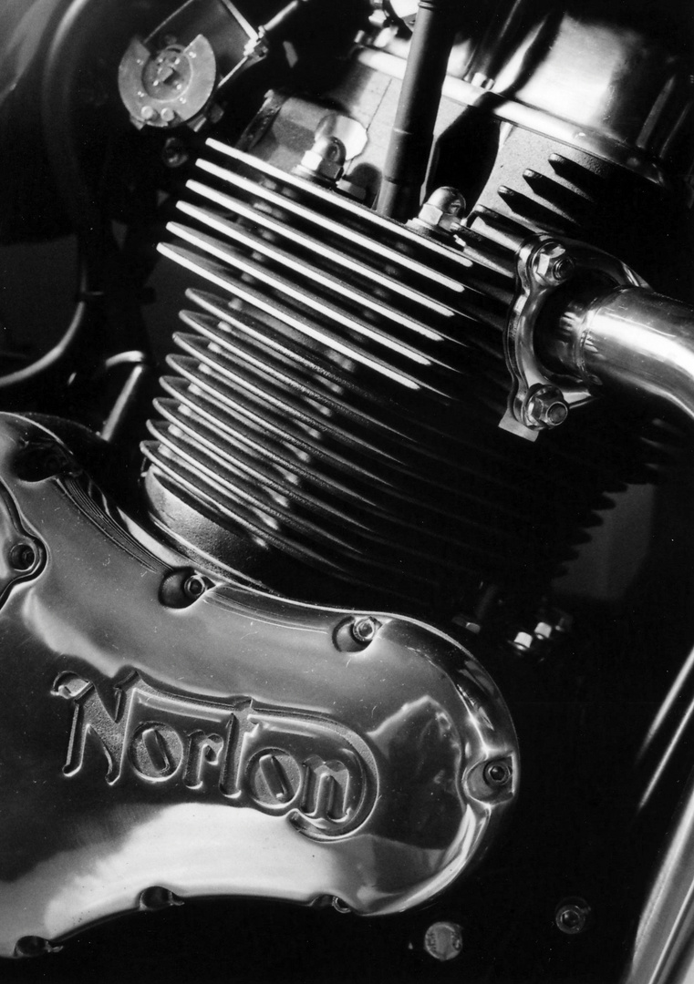 Norton