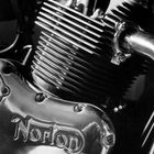 Norton