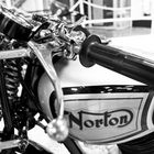 Norton