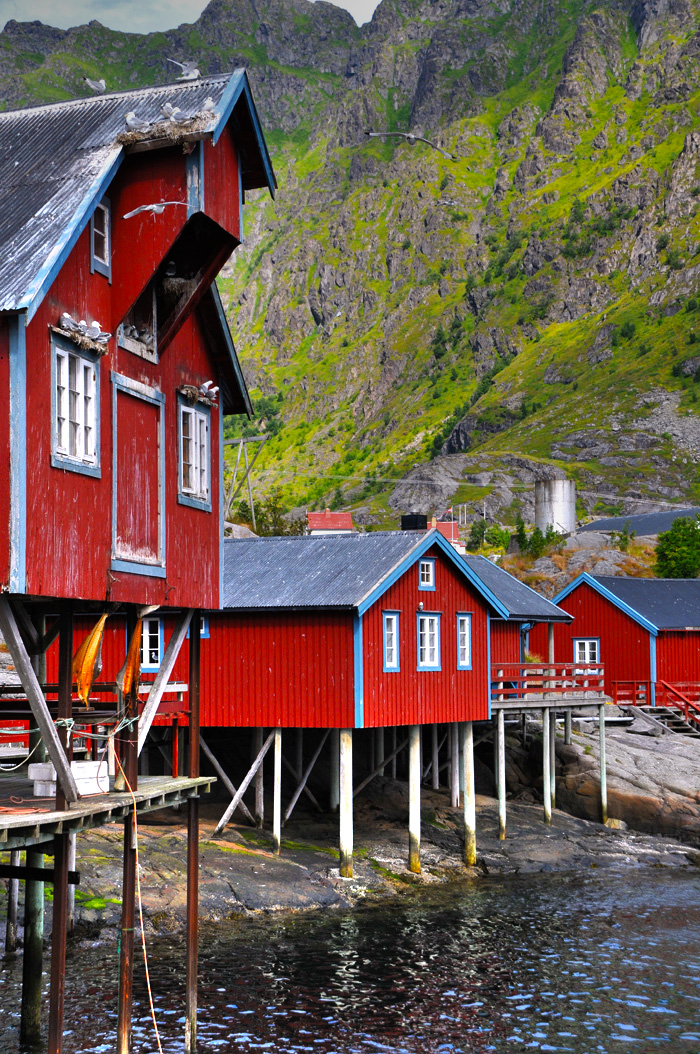 Norvegia - Isole Lofoten