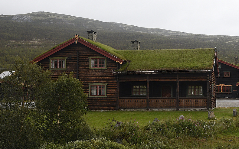 NORVEGIA SETTENTRIONALE. TETTI INERBITI