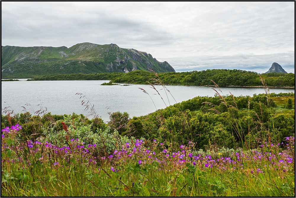 Norway | Andøya |