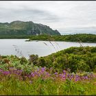 Norway | Andøya |