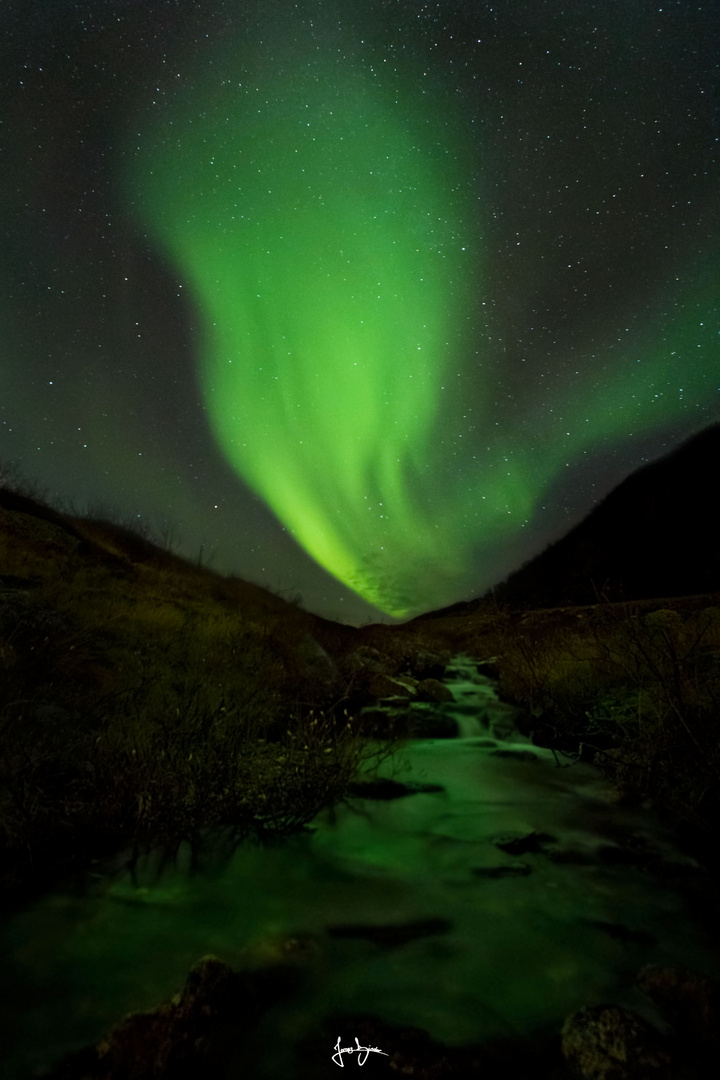 norway lights