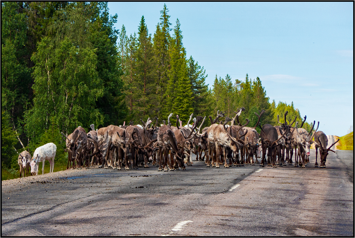 Norway | rural traffic |