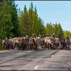 Norway | rural traffic |