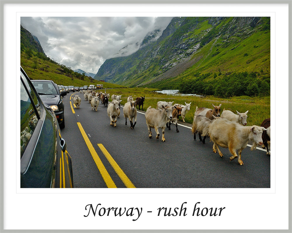 Norway - Rush Hour ...