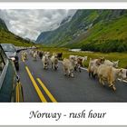 Norway - Rush Hour ...