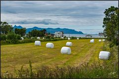 Norway | Vesterålen |