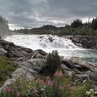 Norway waterfall