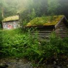 norway woodland farm house