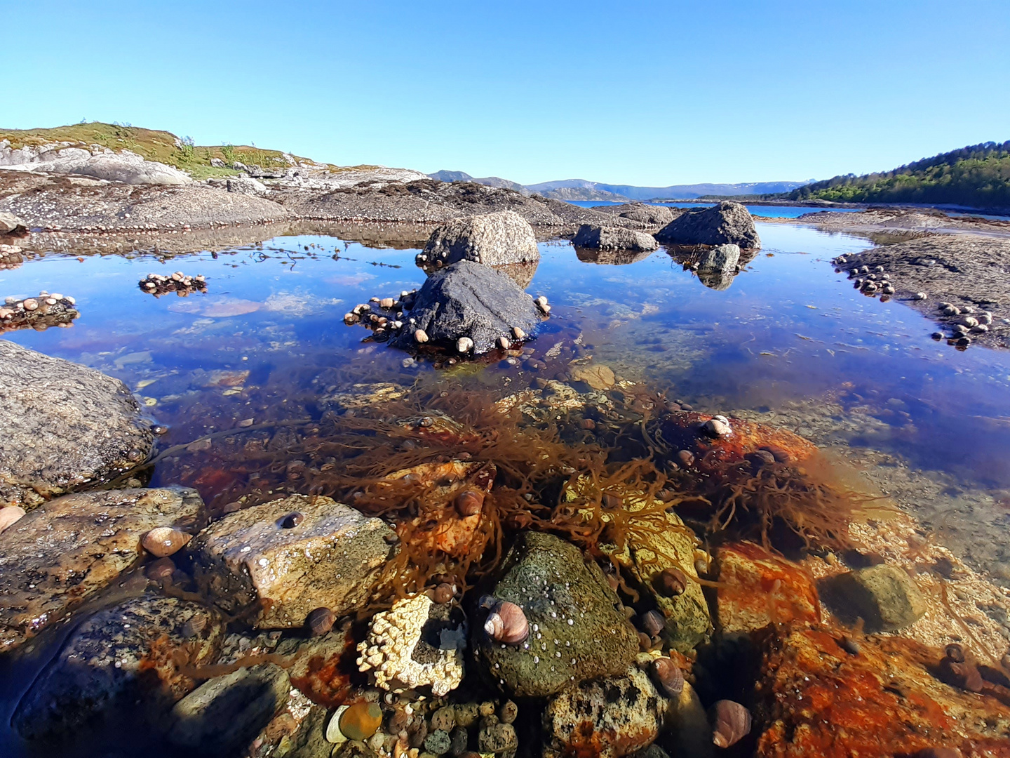 Norwegen 