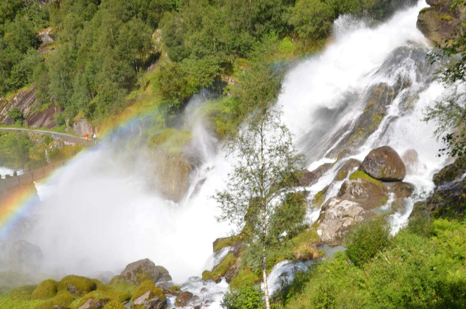 Norwegen-0676-46 (Jostedalsbreen) DSC_4739