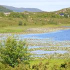 Norwegen-0727-47 (Runde) DSC_4902